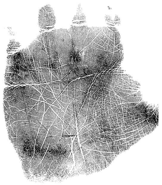 Cover Image - Left Palm Print